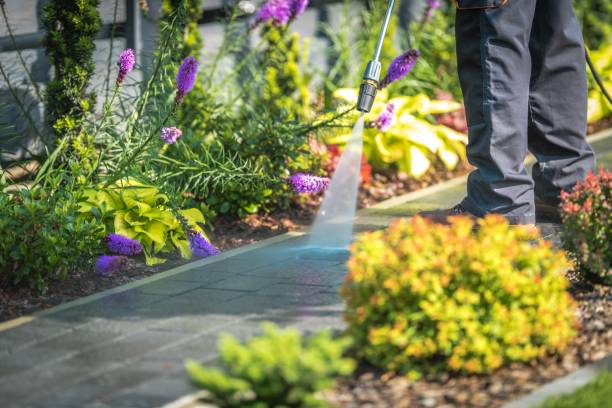 Best Parking Lot and Garage Cleaning  in Kingsford, MI